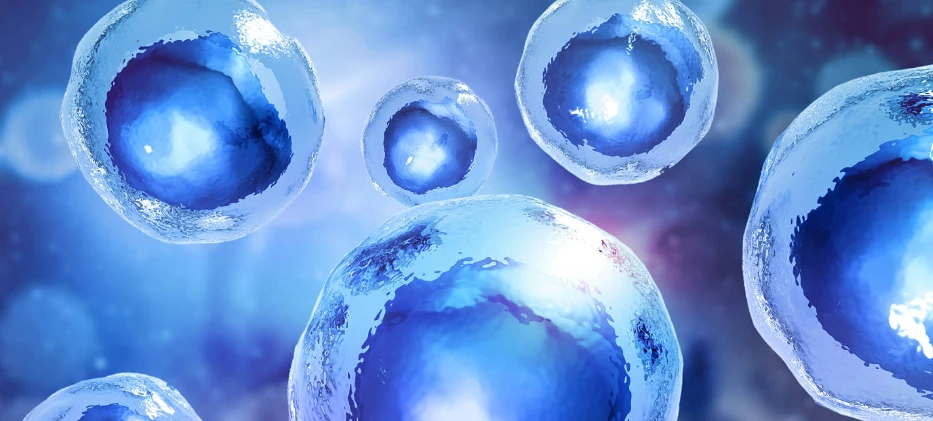 SLU-PP-332 Metabolic Flexibility | Shaanxi BLOOM Tech Co., Ltd SLU-PP-332 Metabolic Flexibility | Shaanxi BLOOM Tech Co., Ltd