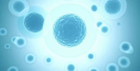 Metronidazole cost | Shaanxi Bloom Tech Metronidazole cost | Shaanxi Bloom Tech
