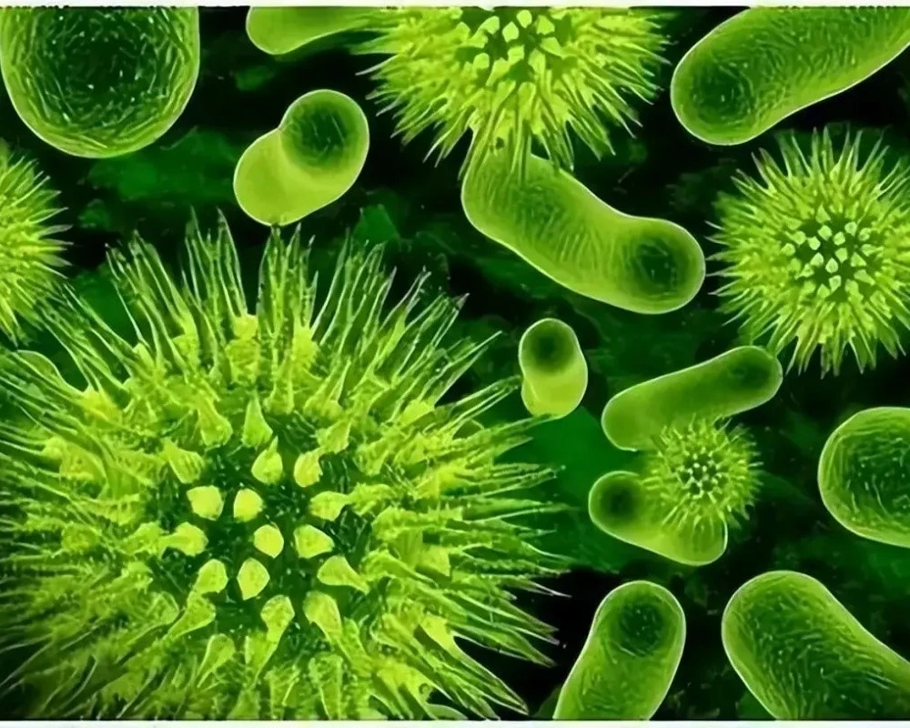 Acetyl Hexapeptide-38 sellers | Bloomtechz Acetyl Hexapeptide-38 sellers | Bloomtechz